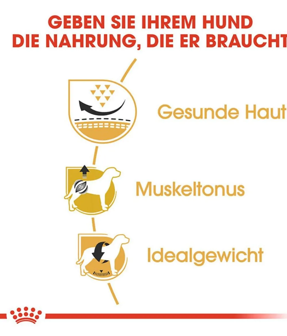 ROYAL CANIN® Trockenfutter Hund - Trockenfutter für Hunde Pug Adult