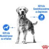 ROYAL CANIN® Trockenfutter Hund > Trockenfutter für Hunde Light Weight Care Medium, 3 kg