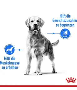 ROYAL CANIN® Trockenfutter Hund > Trockenfutter für Hunde Light Weight Care Medium, 3 kg