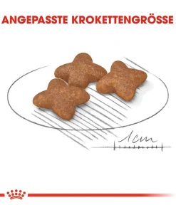 ROYAL CANIN® Trockenfutter Hund - Trockenfutter für Hunde Mini Adult