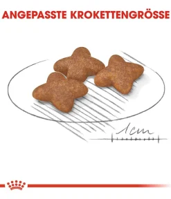 ROYAL CANIN® Trockenfutter Hund > Trockenfutter für Hunde Mini Adult