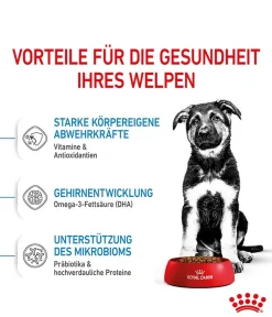 ROYAL CANIN® Trockenfutter Hund > Trockenfutter für Hunde Maxi Puppy