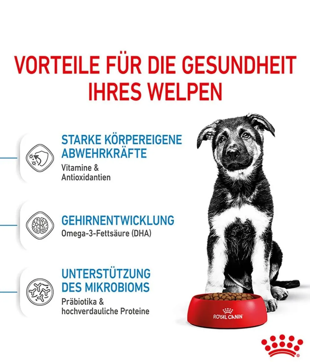 ROYAL CANIN® Trockenfutter Hund > Trockenfutter für Hunde Maxi Puppy