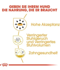 ROYAL CANIN® Trockenfutter Hund > Trockenfutter für Hunde Chihuahua Adult