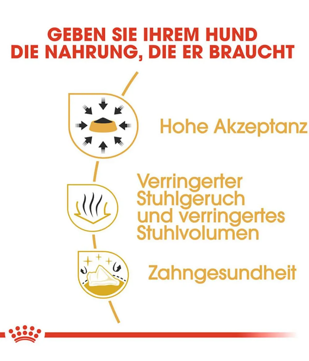 ROYAL CANIN® Trockenfutter Hund > Trockenfutter für Hunde Chihuahua Adult