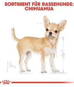 ROYAL CANIN® Trockenfutter Hund > Trockenfutter für Hunde Chihuahua Adult