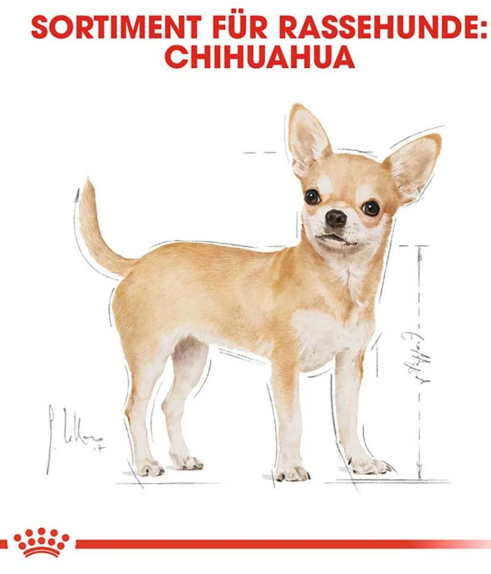 ROYAL CANIN® Trockenfutter Hund > Trockenfutter für Hunde Chihuahua Adult
