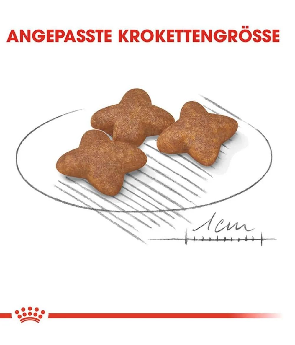 ROYAL CANIN® Trockenfutter für Hunde Mini Adult Sale