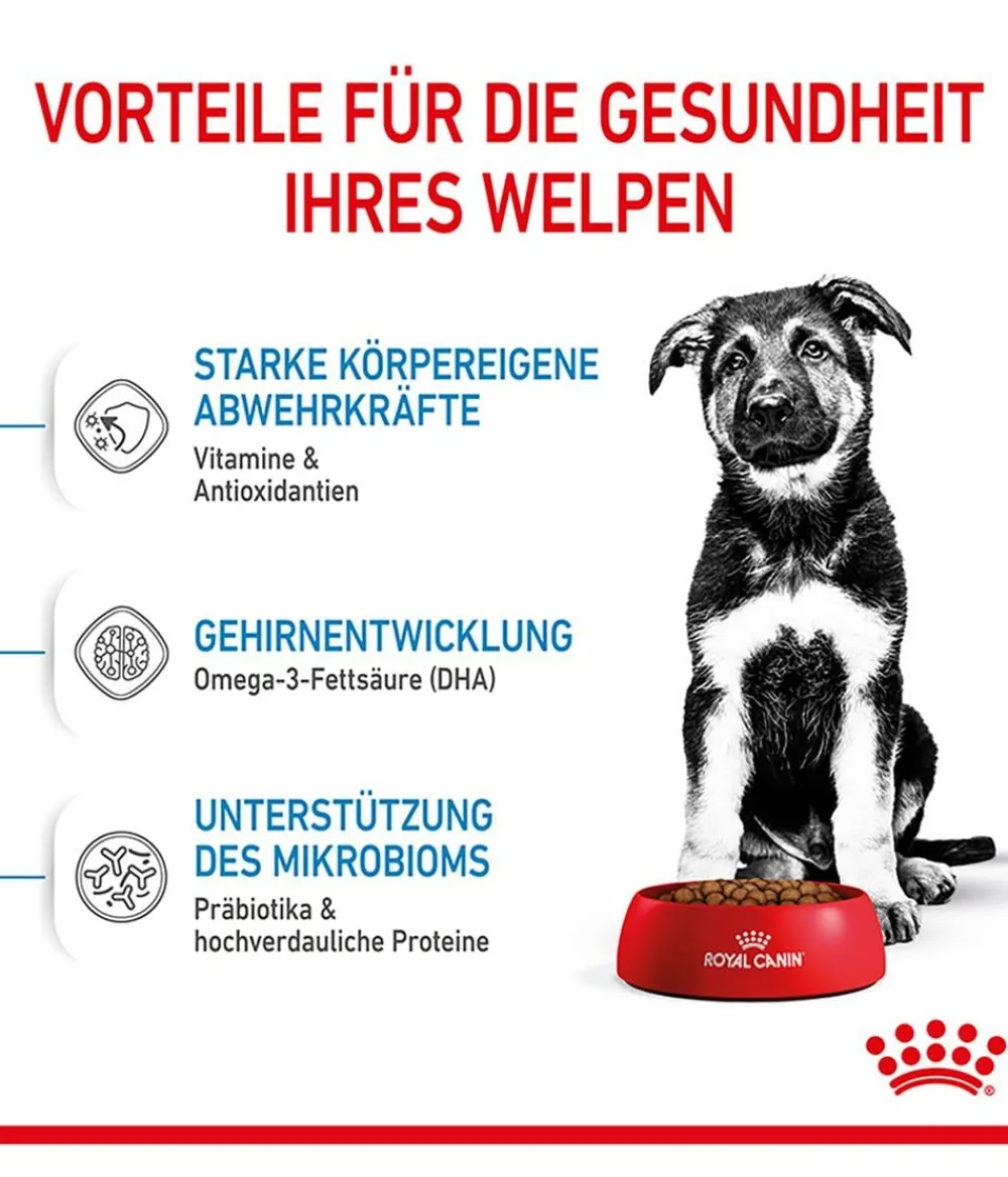 ROYAL CANIN® Trockenfutter für Hunde Maxi Puppy New