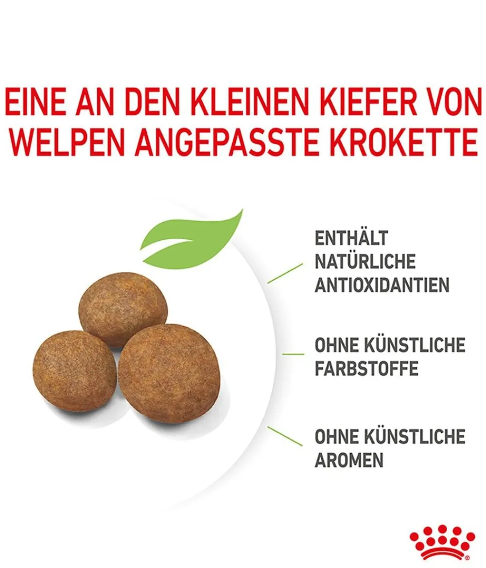 ROYAL CANIN® Trockenfutter Hund - Trockenfutter für Hunde Maxi Puppy