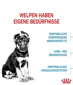 ROYAL CANIN® Trockenfutter Hund - Trockenfutter für Hunde Maxi Puppy