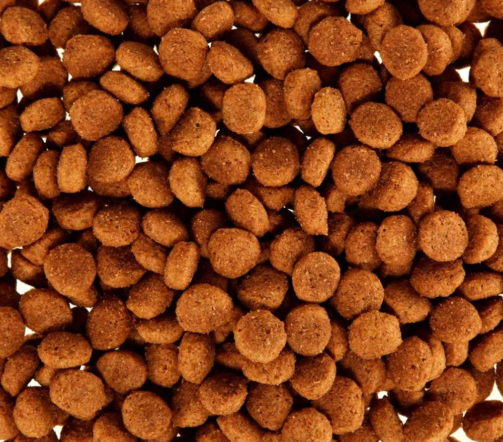 ROYAL CANIN® Trockenfutter Hund > Trockenfutter für Hunde Club Special Performance