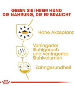 ROYAL CANIN® Trockenfutter Hund - Trockenfutter für Hunde Chihuahua Adult