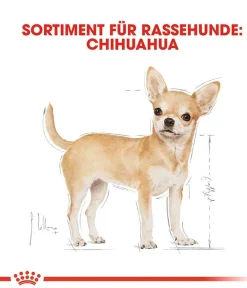 ROYAL CANIN® Trockenfutter Hund - Trockenfutter für Hunde Chihuahua Adult
