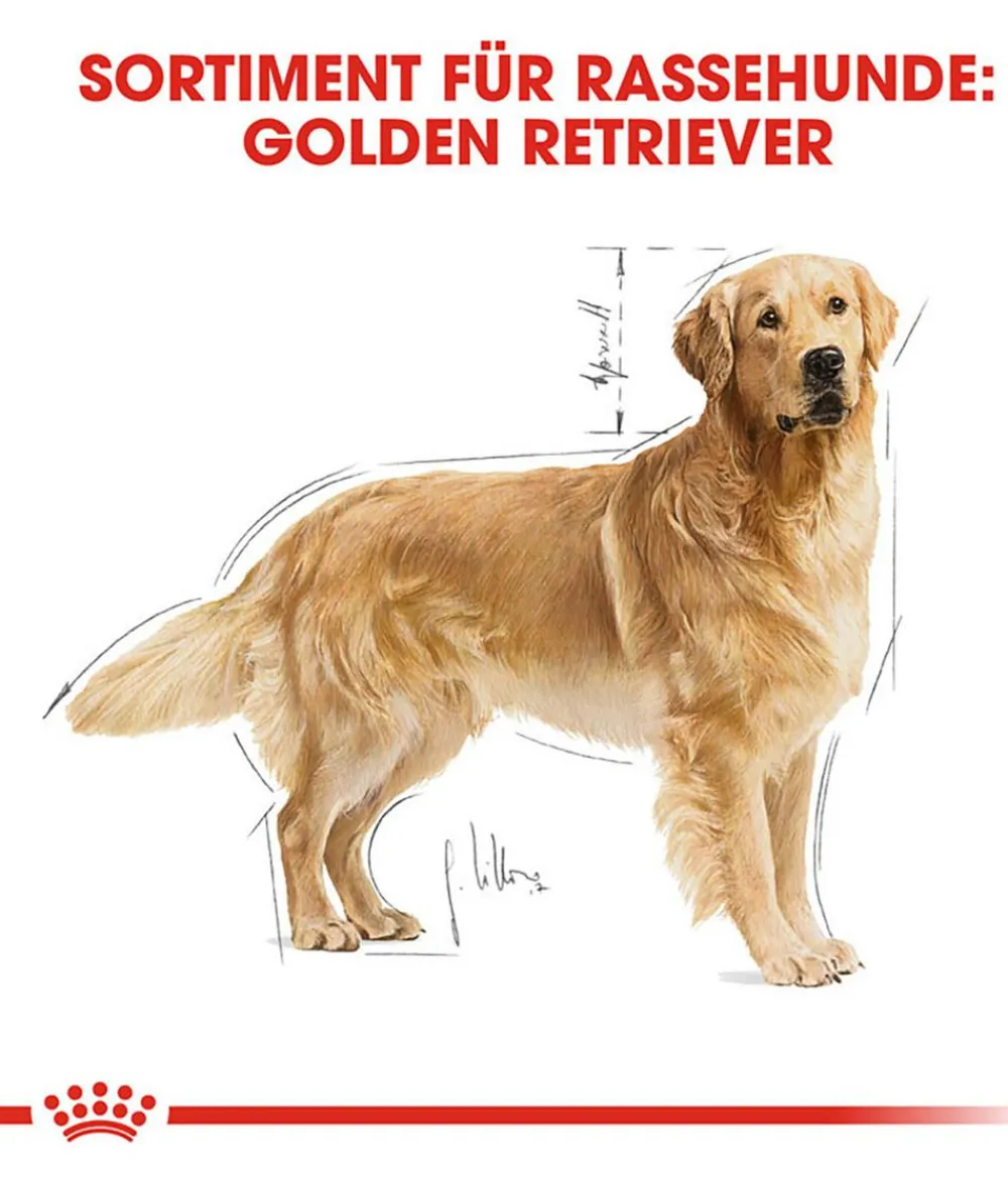 ROYAL CANIN® Trockenfutter Hund > Trockenfutter für Hunde Golden Retriever Adult