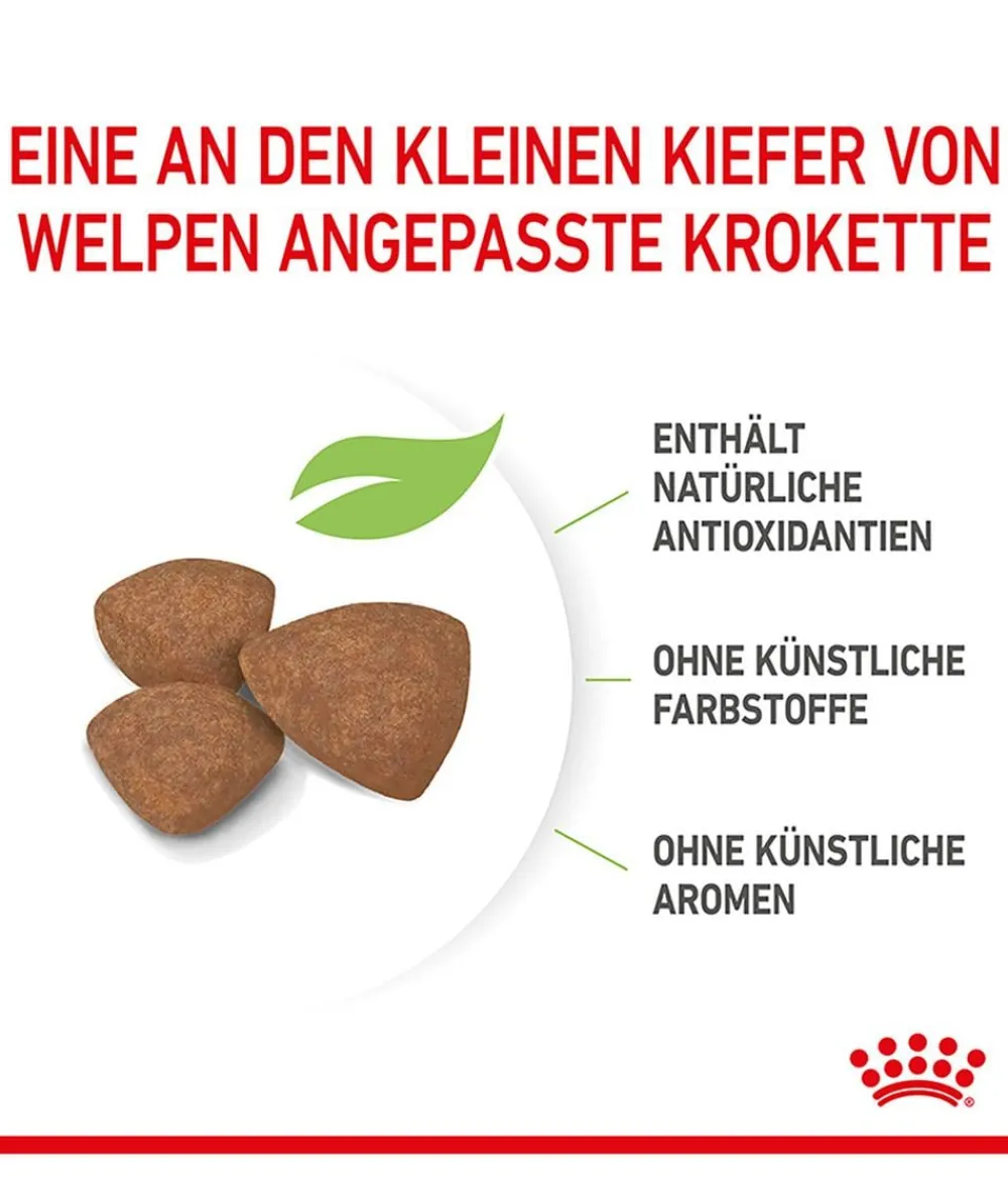 ROYAL CANIN® Trockenfutter Hund > Trockenfutter für Hunde Mini Puppy