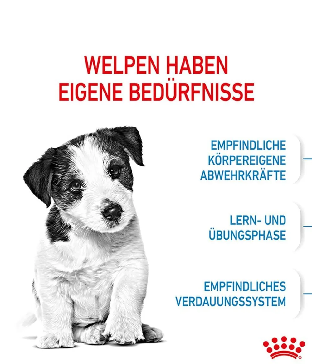 ROYAL CANIN® Trockenfutter Hund > Trockenfutter für Hunde Mini Puppy