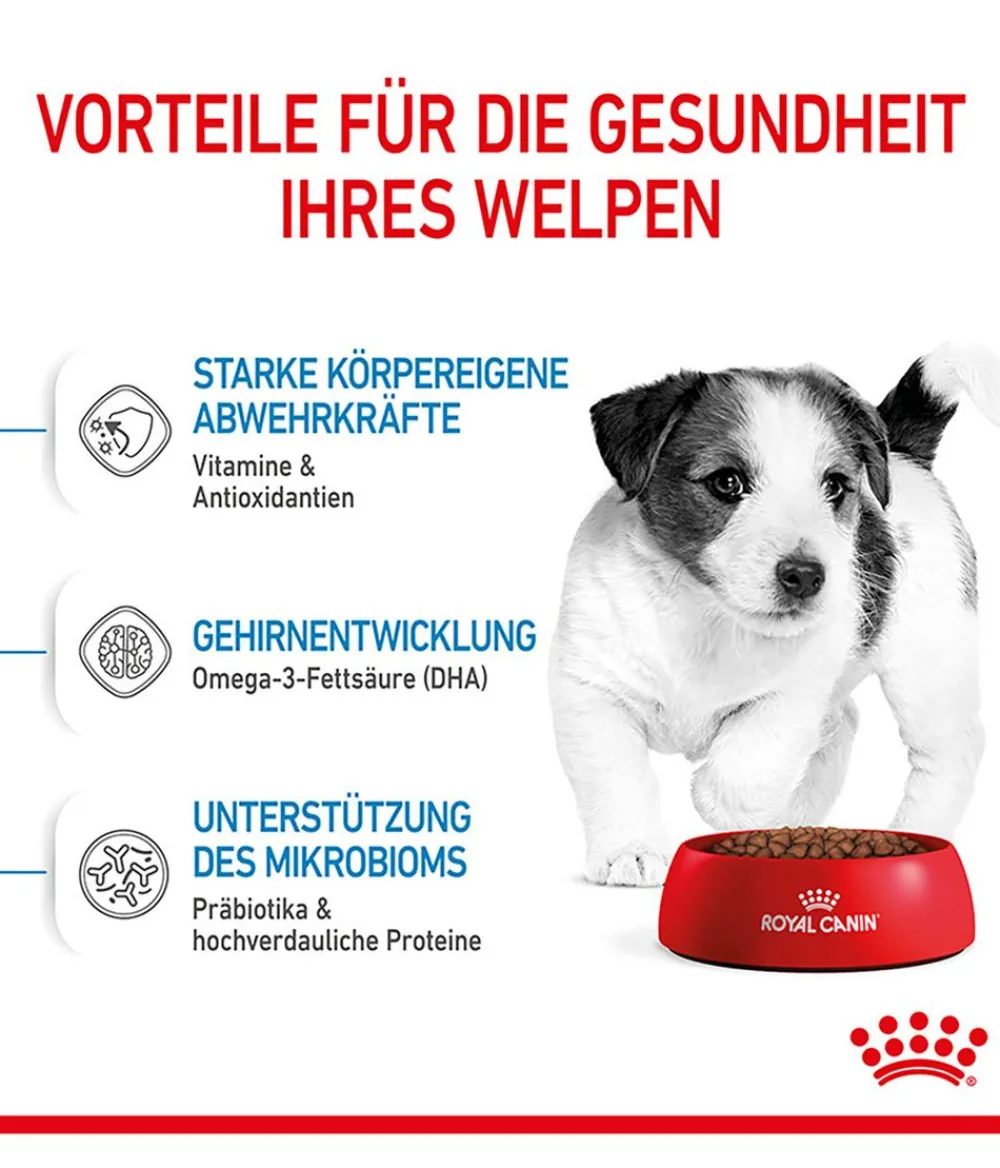 ROYAL CANIN® Trockenfutter Hund > Trockenfutter für Hunde Mini Puppy