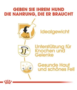 ROYAL CANIN® Trockenfutter Hund > Trockenfutter für Hunde Labrador Retriever Adult