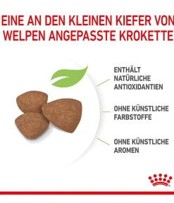 ROYAL CANIN® Trockenfutter Hund - Trockenfutter für Hunde Mini Puppy