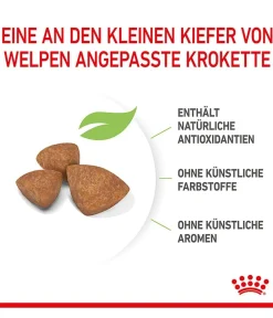 ROYAL CANIN® Trockenfutter für Hunde X-Small Puppy Hot