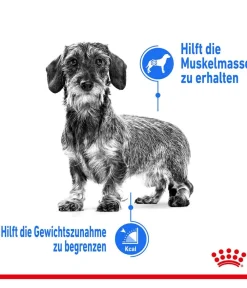 ROYAL CANIN® Trockenfutter Hund > Trockenfutter für Hunde Light Weight Care Mini