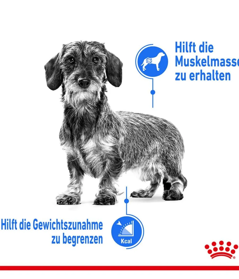ROYAL CANIN® Trockenfutter Hund > Trockenfutter für Hunde Light Weight Care Mini