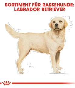 ROYAL CANIN® Trockenfutter für Hunde Labrador Retriever Adult Hot