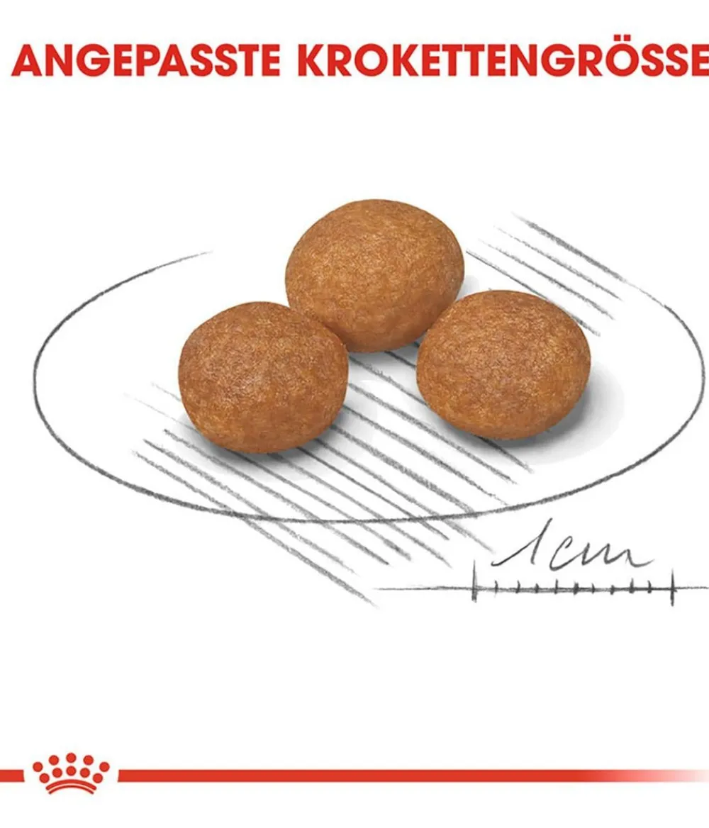 ROYAL CANIN® Trockenfutter Hund > Trockenfutter für Hunde X-Small Adult 8+