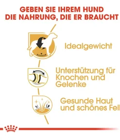 ROYAL CANIN® Trockenfutter Hund - Trockenfutter für Hunde Labrador Retriever Adult
