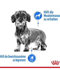 ROYAL CANIN® Trockenfutter für Hunde Light Weight Care Mini Hot