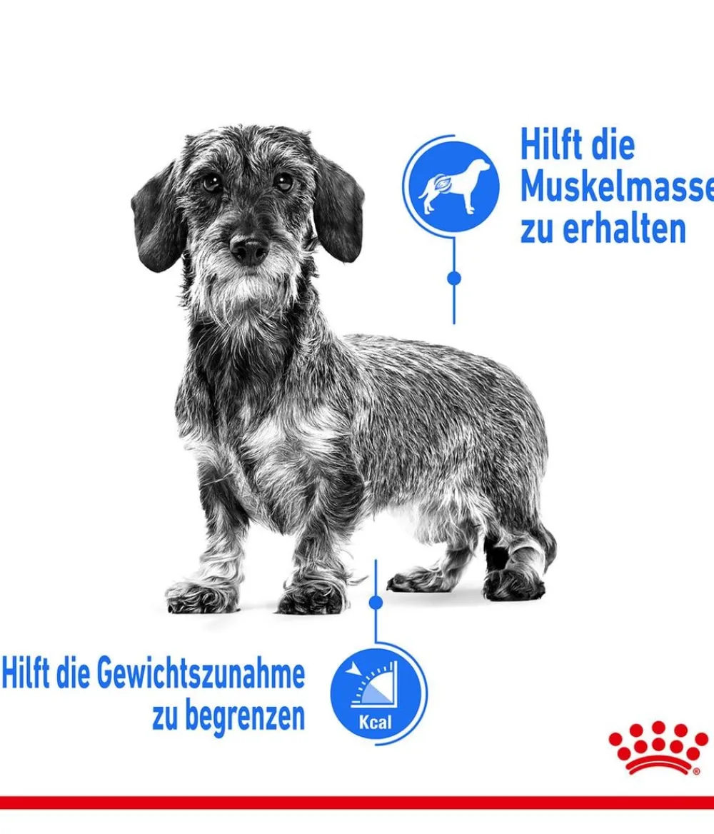 ROYAL CANIN® Trockenfutter für Hunde Light Weight Care Mini Hot