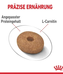 ROYAL CANIN® Trockenfutter für Hunde Light Weight Care Mini Hot