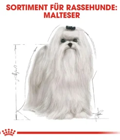 ROYAL CANIN® Trockenfutter Hund - Trockenfutter für Hunde Maltese Adult