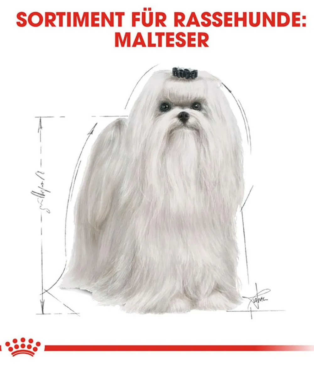 ROYAL CANIN® Trockenfutter Hund - Trockenfutter für Hunde Maltese Adult