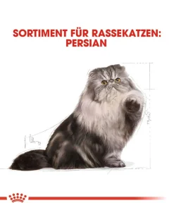ROYAL CANIN® Trockenfutter für Katzen Persian Adult New