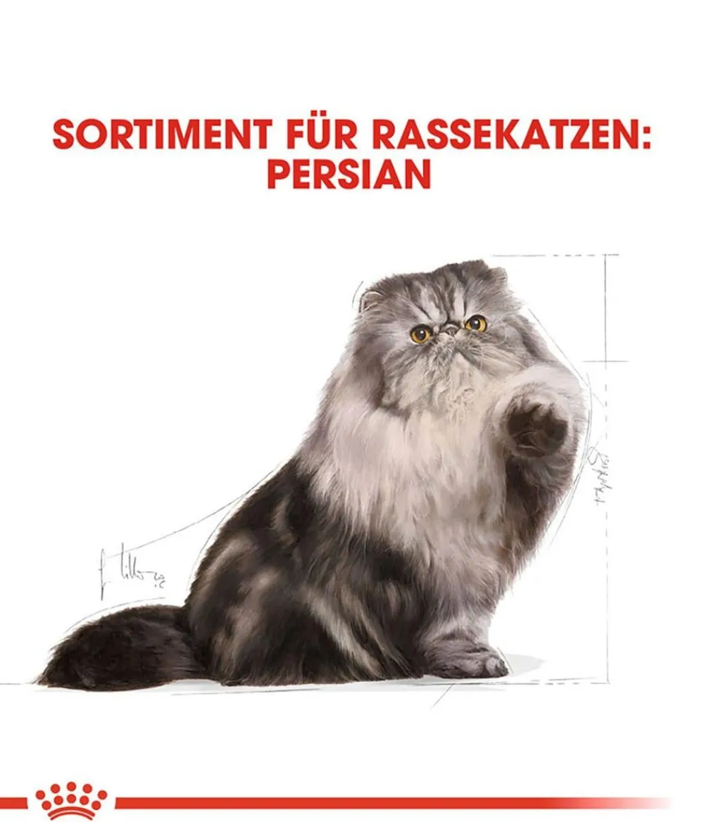 ROYAL CANIN® Trockenfutter für Katzen Persian Adult New