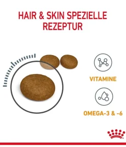 ROYAL CANIN® Trockenfutter Katze > Trockenfutter für Katzen Hair & Skin Care