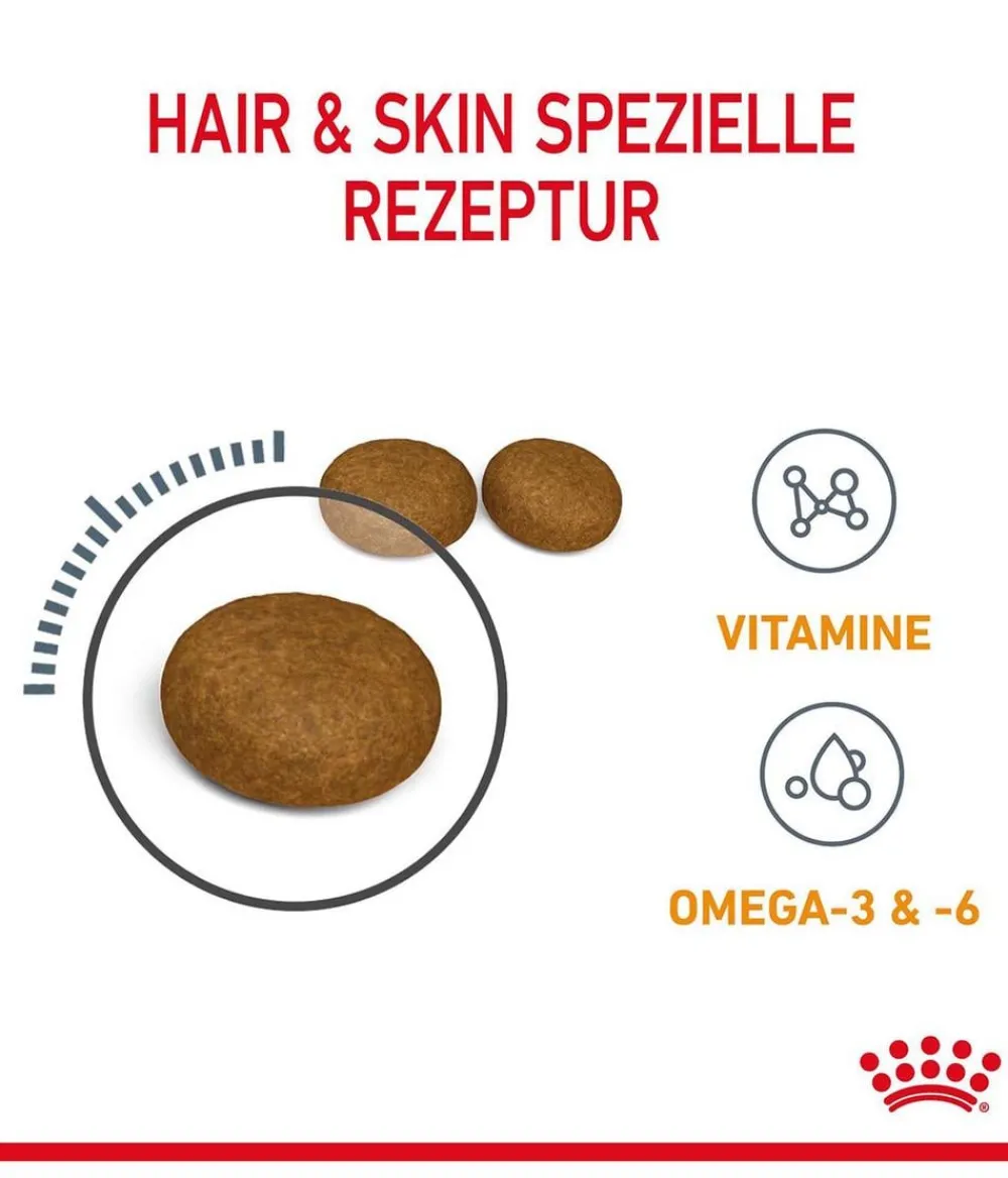 ROYAL CANIN® Trockenfutter Katze > Trockenfutter für Katzen Hair & Skin Care