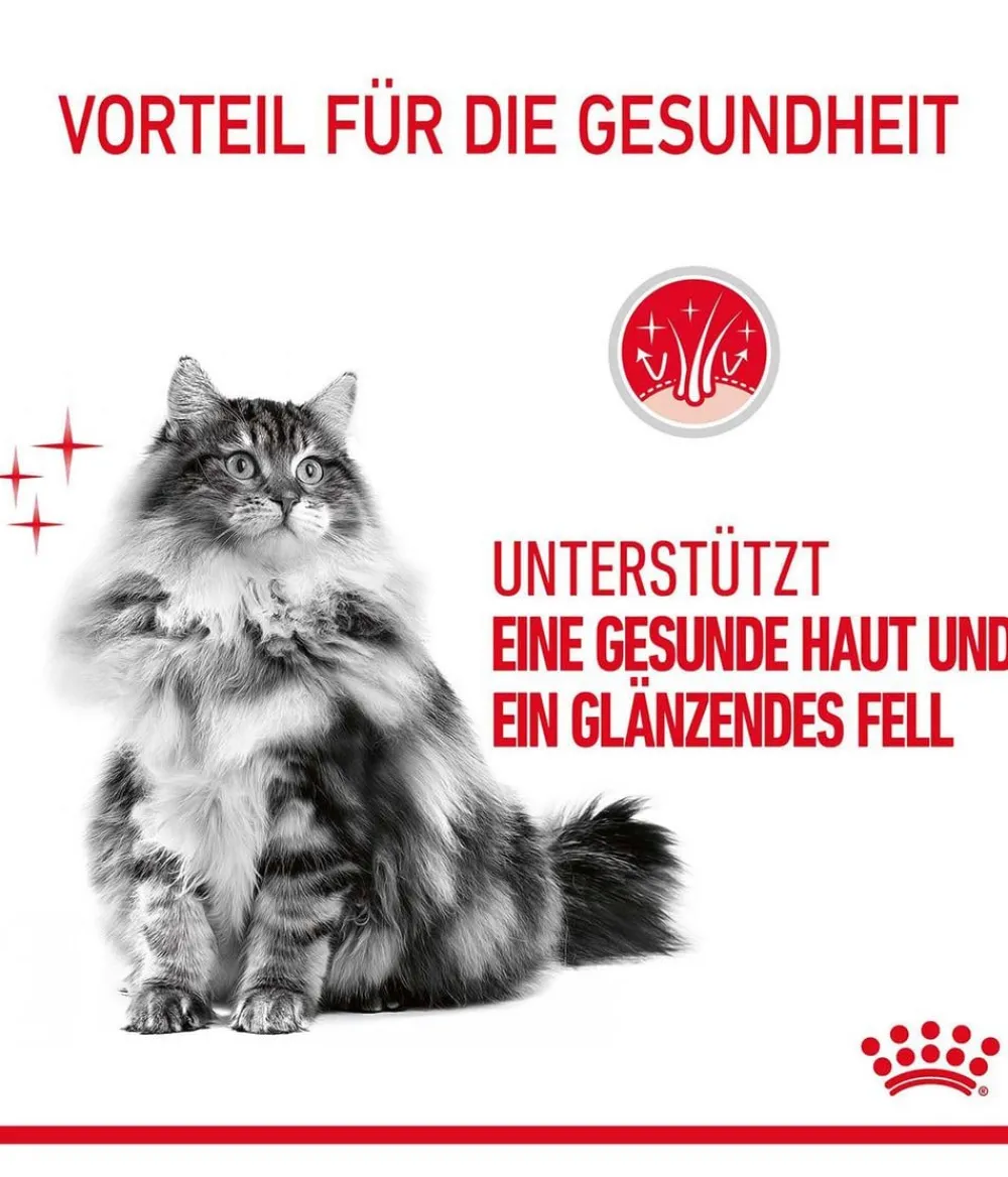 ROYAL CANIN® Trockenfutter Katze > Trockenfutter für Katzen Hair & Skin Care