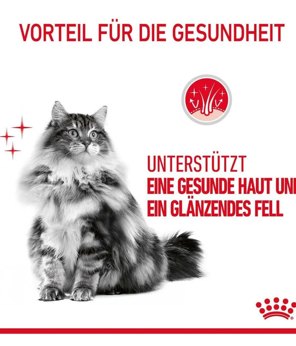 ROYAL CANIN® Trockenfutter Katze > Trockenfutter für Katzen Hair & Skin Care