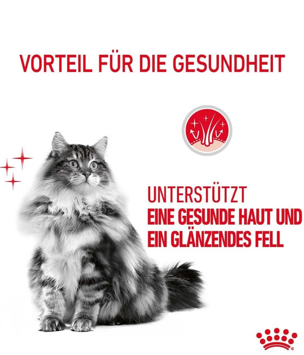 ROYAL CANIN® Trockenfutter für Katzen Hair & Skin Care Discount