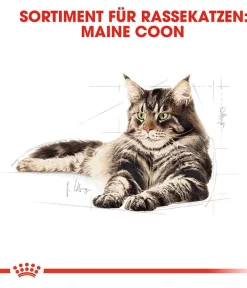 ROYAL CANIN® Trockenfutter Katze > Trockenfutter für Katzen Kitten