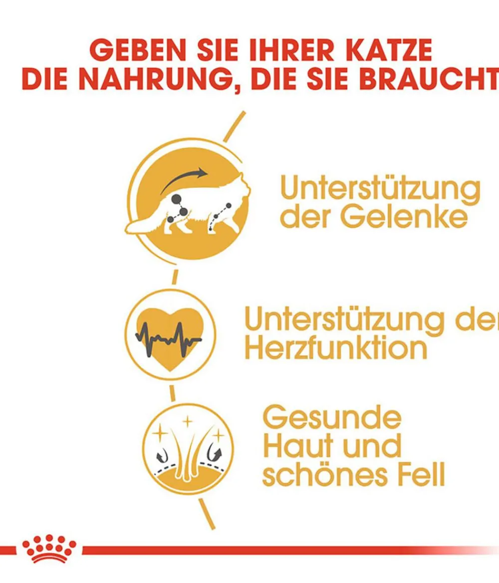 ROYAL CANIN® Trockenfutter Katze > Trockenfutter für Katzen Kitten