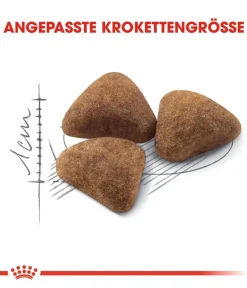 ROYAL CANIN® Trockenfutter Katze > Trockenfutter für Katzen Indoor