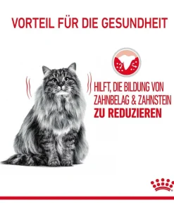 ROYAL CANIN® Trockenfutter für Katzen Dental Care Sale