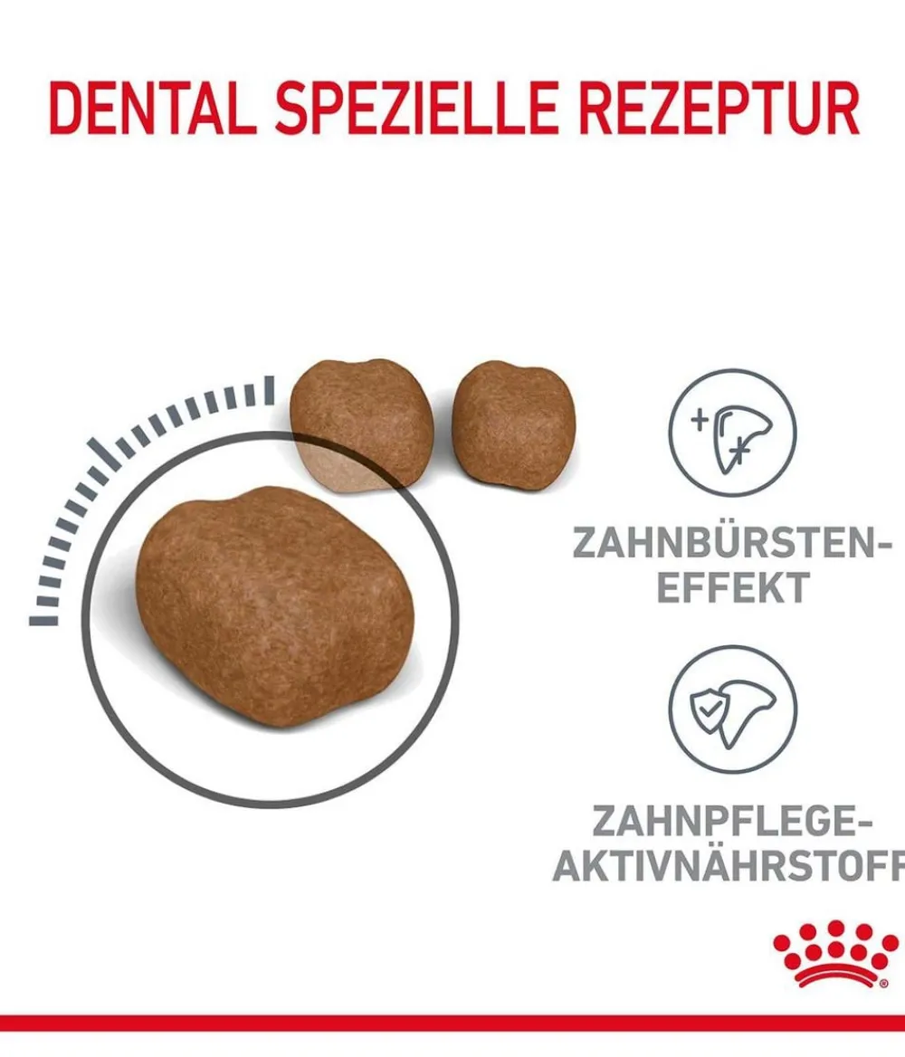 ROYAL CANIN® Trockenfutter für Katzen Dental Care Sale