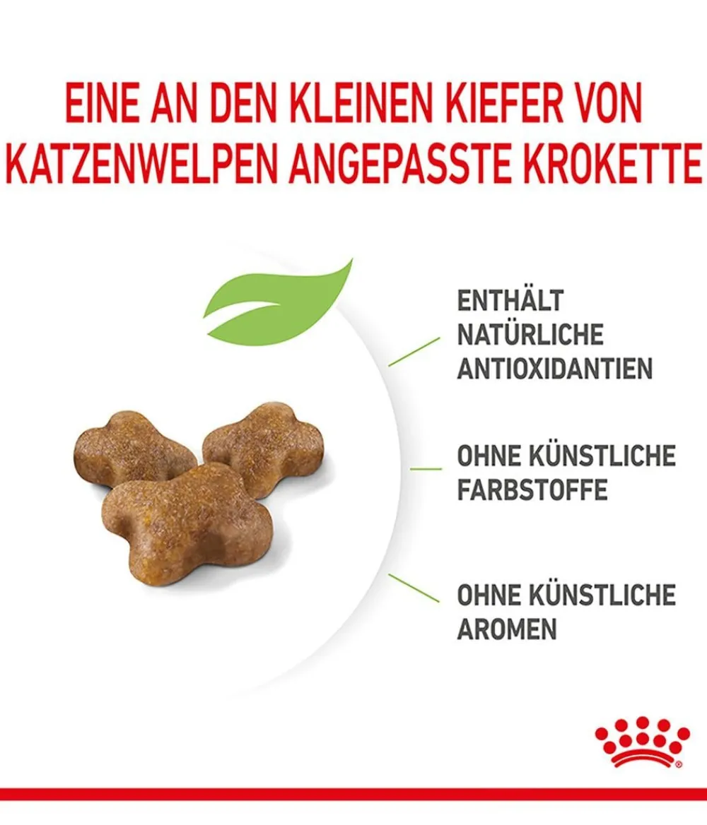 ROYAL CANIN® Trockenfutter für Katzen Kitten Outlet
