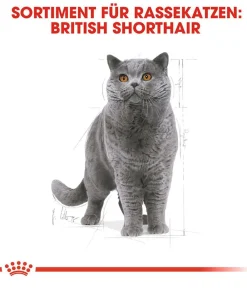 ROYAL CANIN® Trockenfutter Katze - Trockenfutter für Katzen Maine Coon Adult