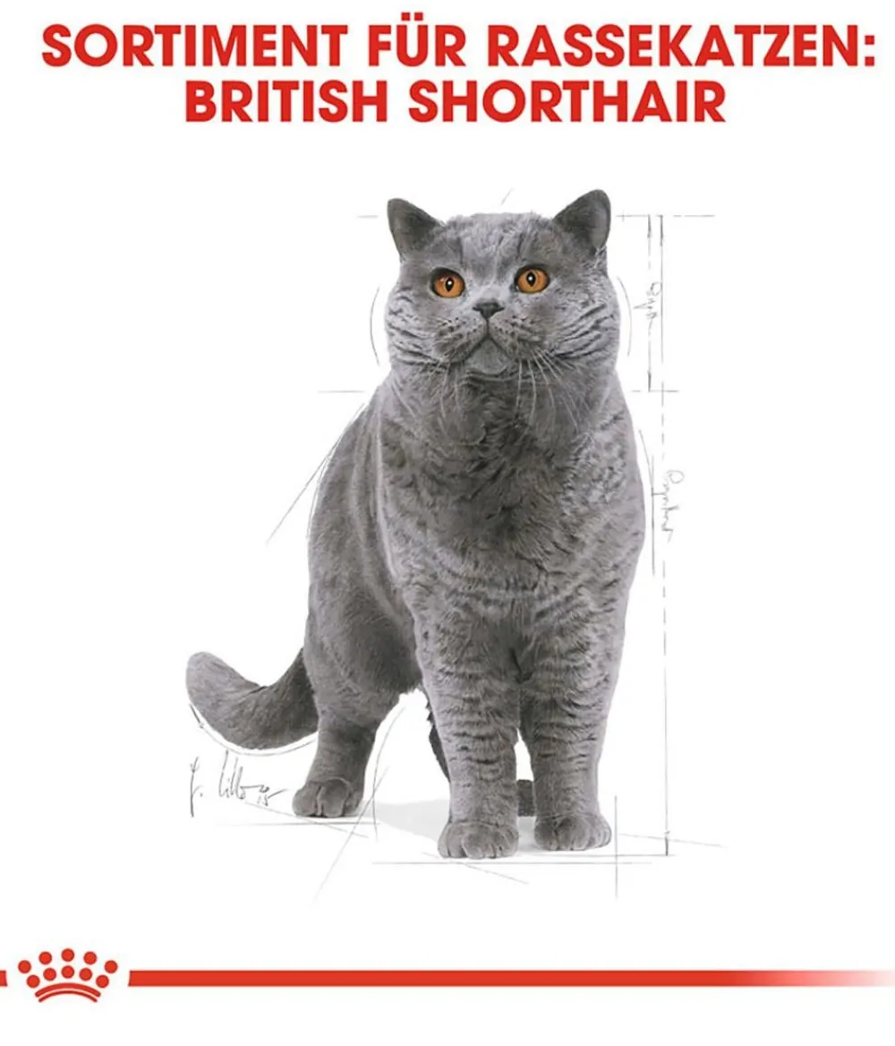 ROYAL CANIN® Trockenfutter Katze - Trockenfutter für Katzen Maine Coon Adult